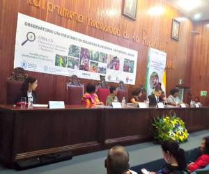 El Doctorado en Ciencias Sociales con orientación del Desarrollo contó con el apoyo de la Secretaría de Desarrollo e Inclusión Social y la Secretarí de Desarrollo Económico a través de la Unidad Técnica de Seguridad Alimentaria y Nutricional (UTSAN), el Programa Mundial de Alimentos y la FAO